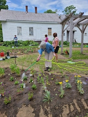 June 7, 2022 - Newly planted perennials