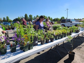 Plant sale customers